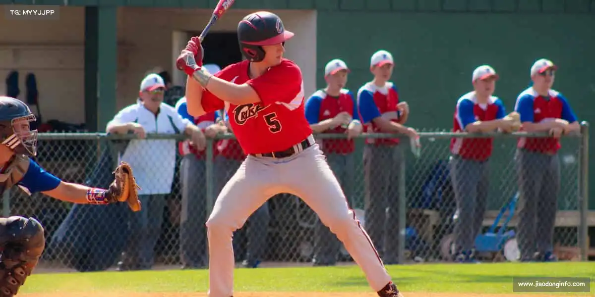 为什么选择我们